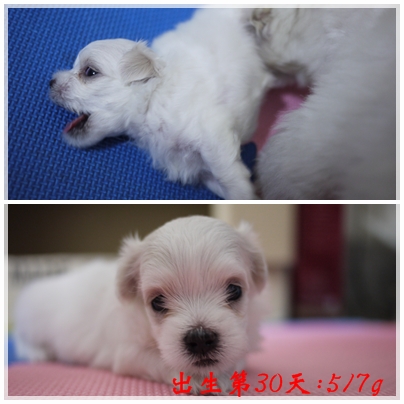 第30天-1 第30天-1
