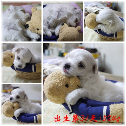 第31天-1 第31天-1