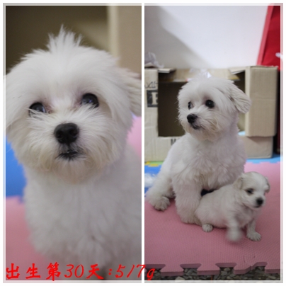 第30天-2 第30天-2