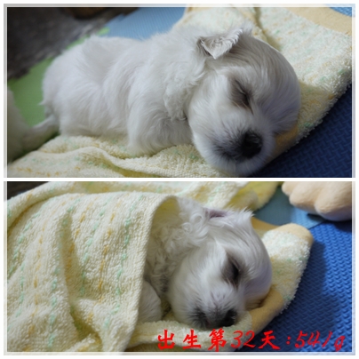 第32天-4 第32天-4