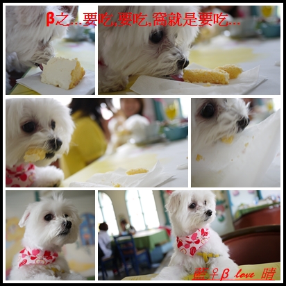小P-9 小P-9