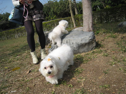 IMG_7511 IMG_7511