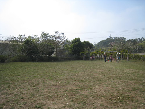 IMG_7517 IMG_7517