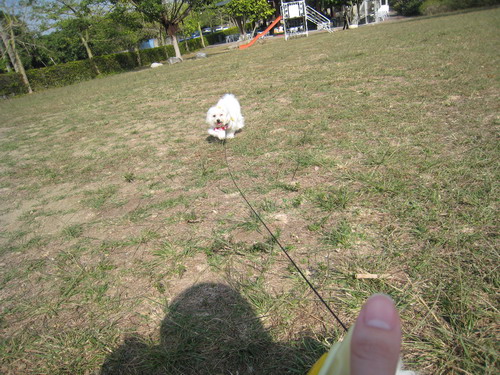 IMG_7618 IMG_7618