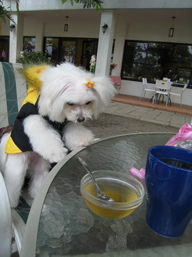 IMG_7314 IMG_7314