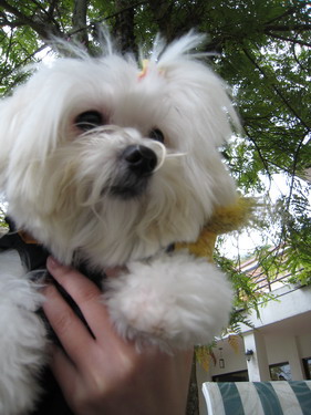 IMG_7325 IMG_7325