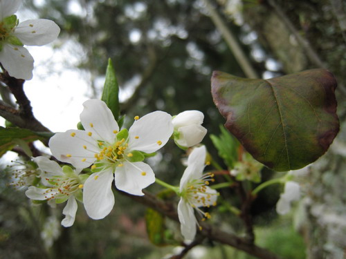 IMG_7333 IMG_7333