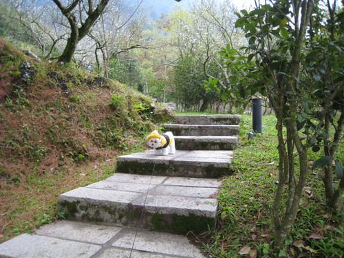 IMG_7332 IMG_7332