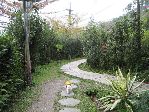 IMG_7331 IMG_7331