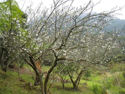IMG_7343 IMG_7343