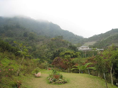 IMG_7358 IMG_7358
