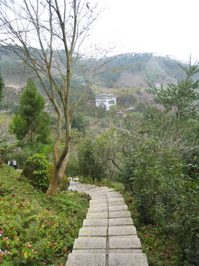 IMG_7357 IMG_7357