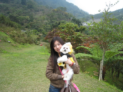 IMG_7363 IMG_7363