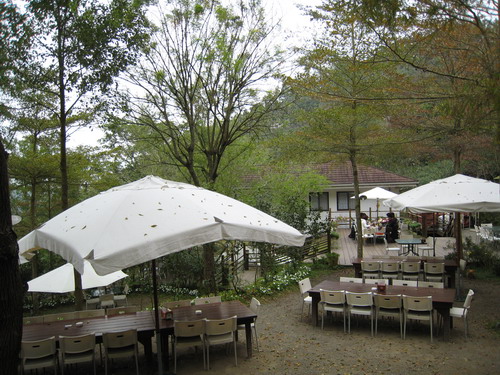 IMG_7369 IMG_7369