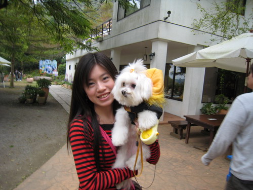 IMG_7376 IMG_7376