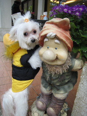 IMG_7378 IMG_7378
