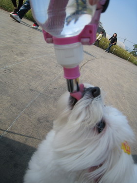 IMG_7095 IMG_7095