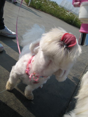 IMG_7093 IMG_7093