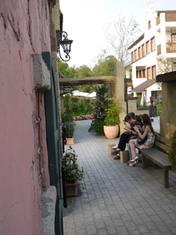 P1000834-2 P1000834-2