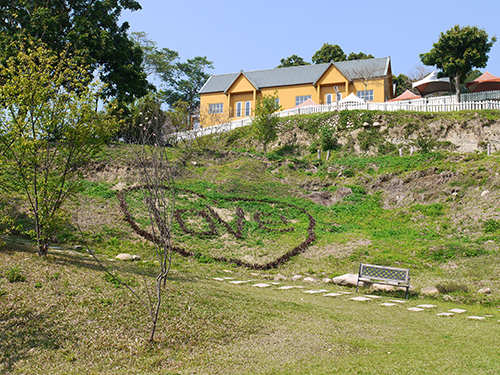P1190153.jpg