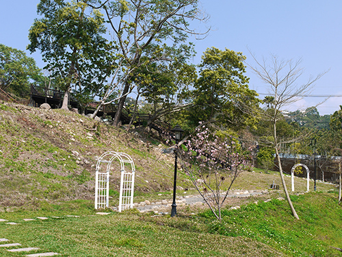 P1190154.jpg