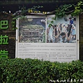 馬太鞍濕地-11.jpg