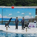 野柳海洋世界-30.jpg