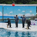 野柳海洋世界-29.jpg