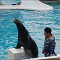 野柳海洋世界-31.jpg