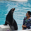 野柳海洋世界-33.jpg