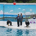 野柳海洋世界-37.jpg