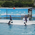 野柳海洋世界-38.jpg