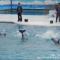 野柳海洋世界-47.jpg