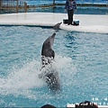 野柳海洋世界-49.jpg