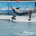 野柳海洋世界-50.jpg