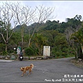 郭叔叔野生獼猴園-11.jpg