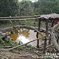 郭叔叔野生獼猴園-23.jpg