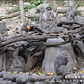 郭叔叔野生獼猴園-49.jpg