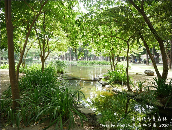 大東濕地公園-13.jpg