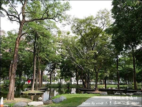 大東濕地公園-18.jpg