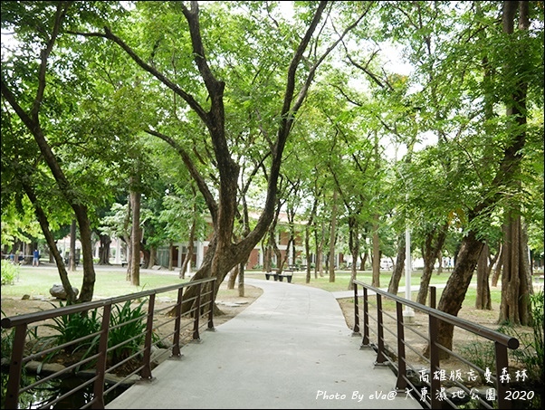 大東濕地公園-15.jpg