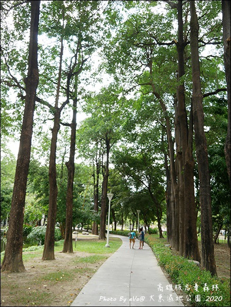 大東濕地公園-16.jpg