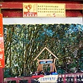 杉林溪-18.jpg