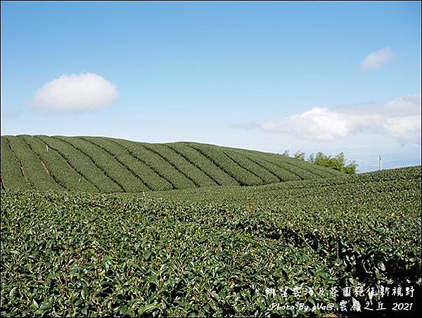 雲嶺之丘-23.jpg