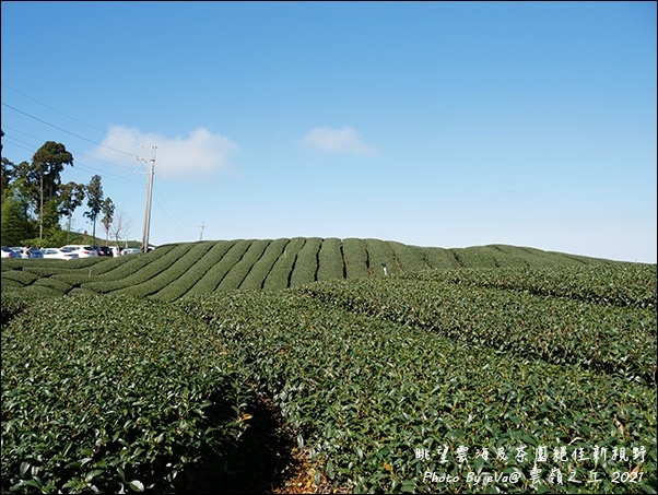 雲嶺之丘-21.jpg