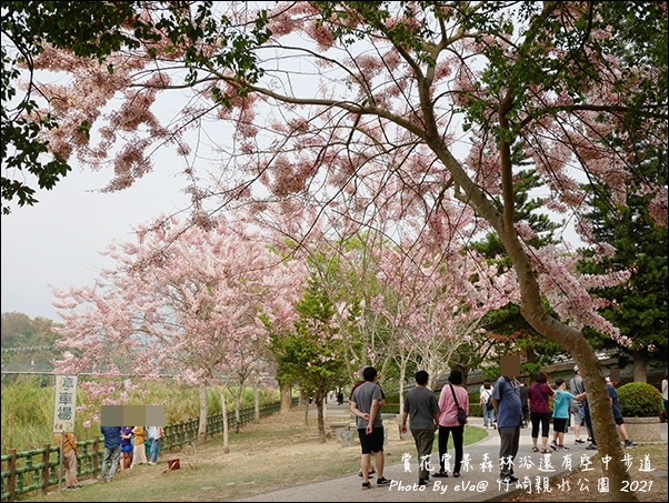 竹崎親水公園-07.jpg