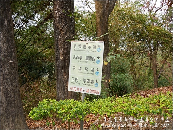 竹崎親水公園-19.jpg