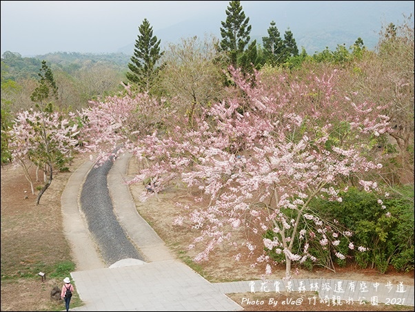 竹崎親水公園-28.jpg