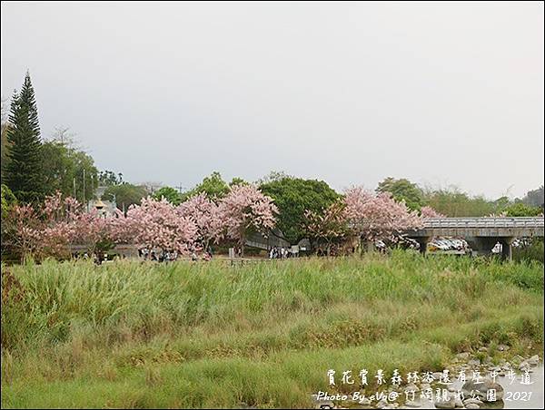 竹崎親水公園-36.jpg