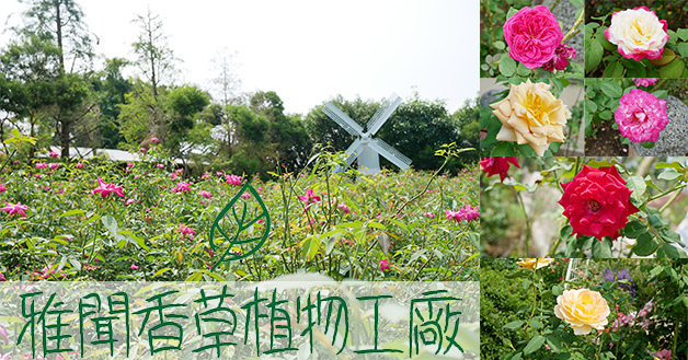 雅聞香草植物工廠-01.jpg